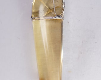 Copal with insect pendant