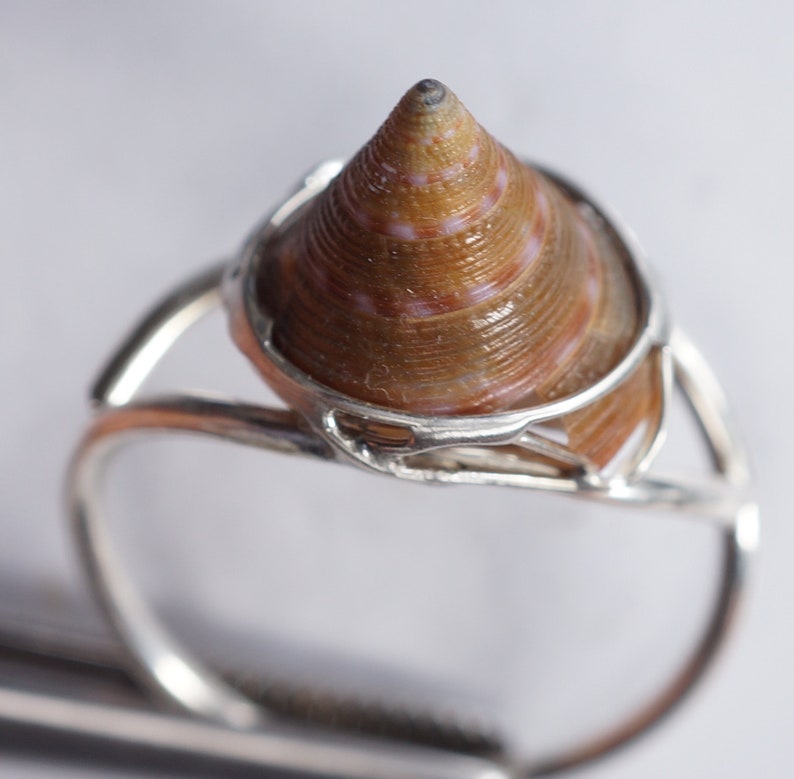 May include: A silver ring with a brown and white seashell set in the center. The ring is designed with a delicate, openwork band.
