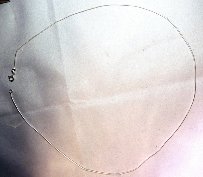 Puede incluir: Un collar de cadena de plata con un cierre.