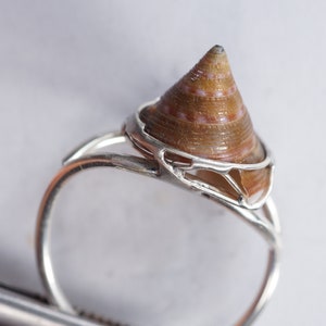 May include: A silver ring with a brown and white seashell set in the center. The ring is made of a delicate, intricate design.