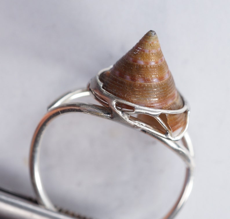 May include: A silver ring with a brown and white seashell set in the center. The ring is made of a delicate, intricate design.