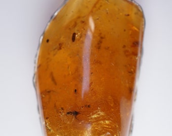 Copal with insect Pendant