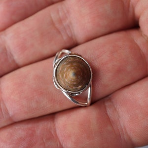 May include: A silver ring with a brown and white seashell set in the center.