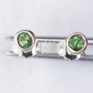 Tsavorite earrings