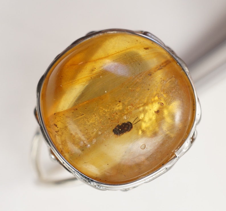 Copal with insect Ring