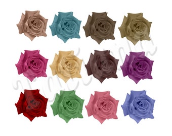 Rose Clipart, Colorful Flowers, Instand Download PNG, Romantic Supplies, Digital Commercial Use