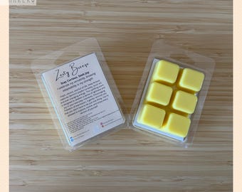 Zodiac Sign Traits Non-Toxic Wax Melts | Scented Wax Melts for Mindful Souls needing Emotional Support and Energy Healing, Aus