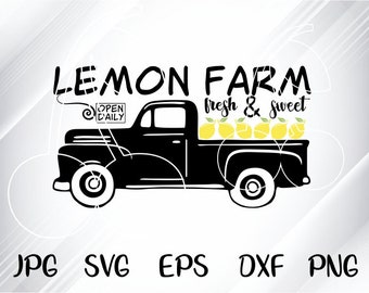 Download Lemonade Gnome Svg Etsy