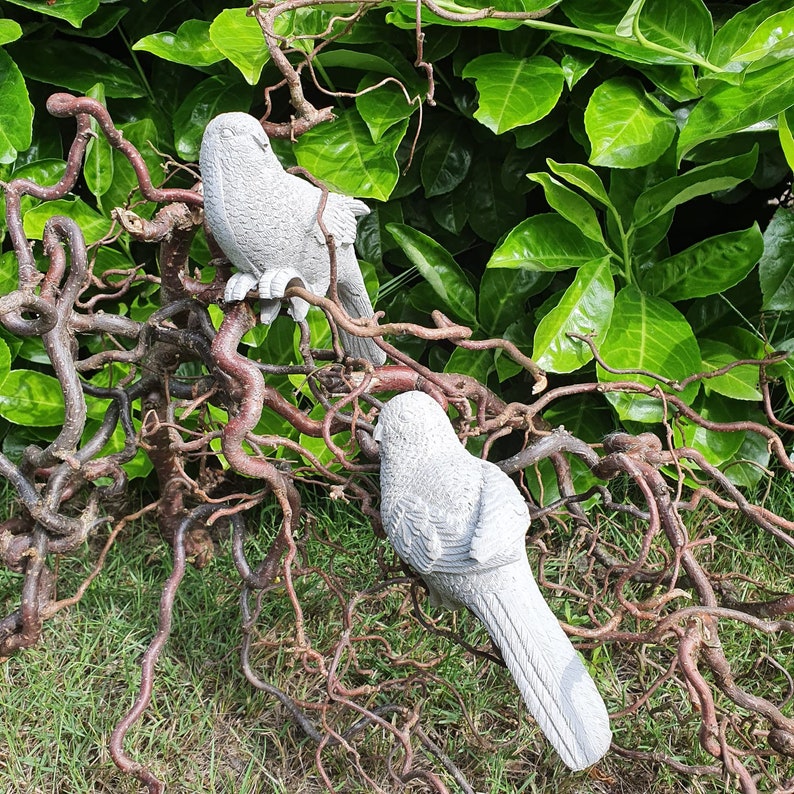 Bird Parakeet Silicone Casting