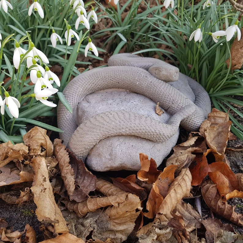 Silicone shape-snake on stone