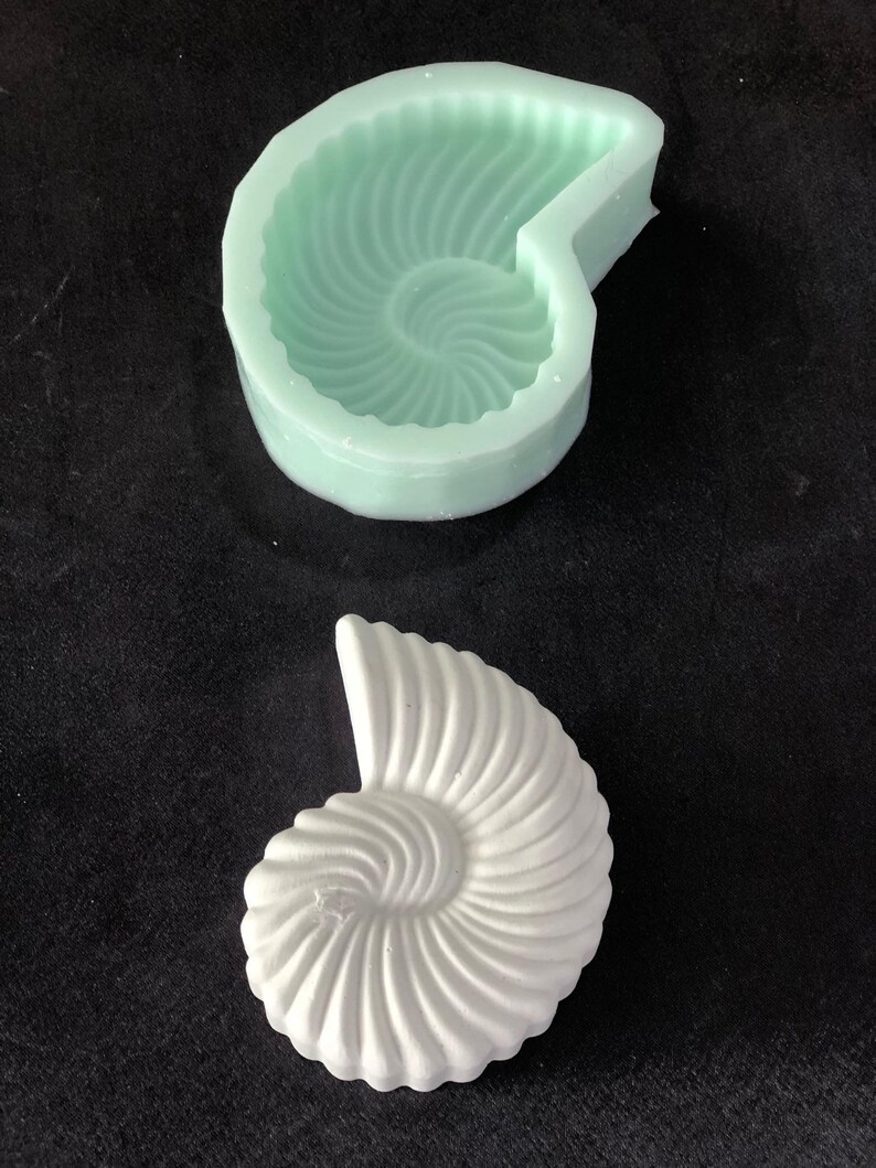 Mussels-different shapes