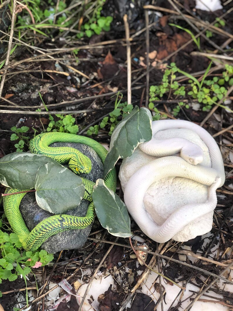 Silicone shape-snake on stone