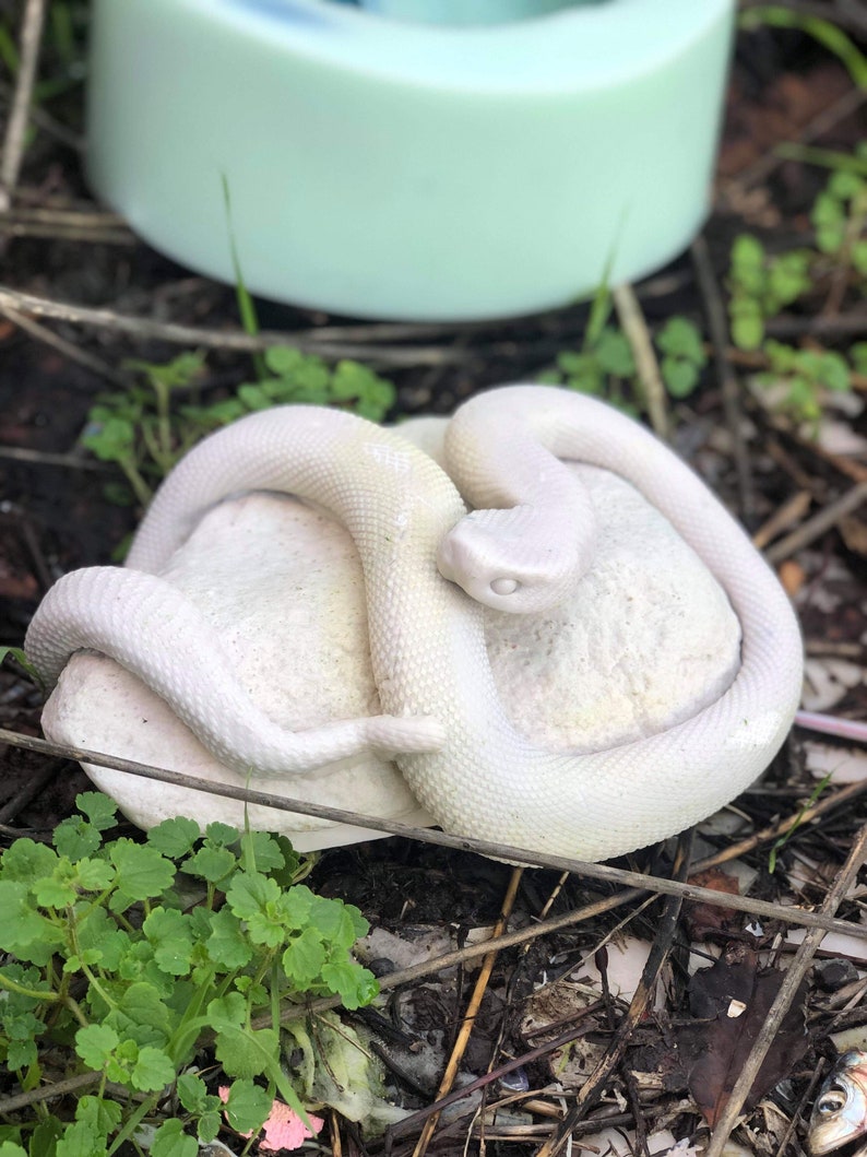Silicone shape-snake on stone