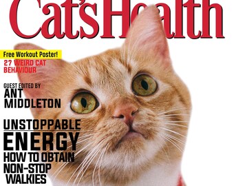 personalized funny magazine cover of cat portrait on canvas | Cat's Health
