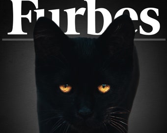 personalized funny magazine cover of cat picture on canvas | Furbe's Cat