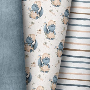In-house production / many types of fabric / dinosaurs