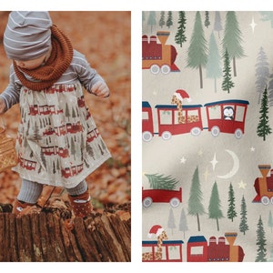 Own production organic jersey / French Terry train Christmas