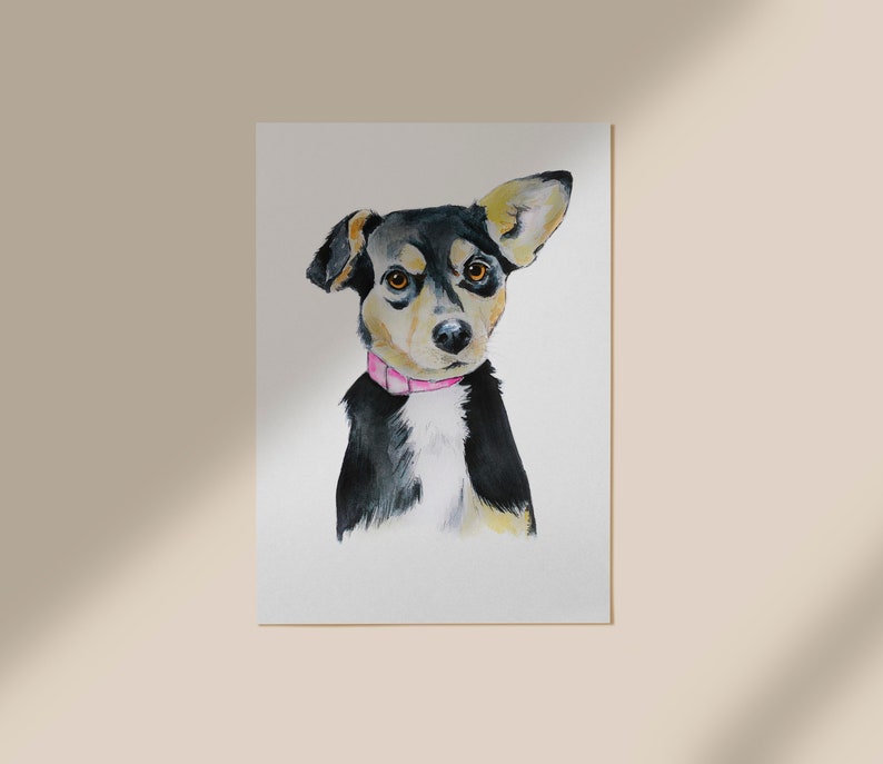 May include: Watercolor painting of a black and brown dog with a pink collar, looking directly at the viewer.