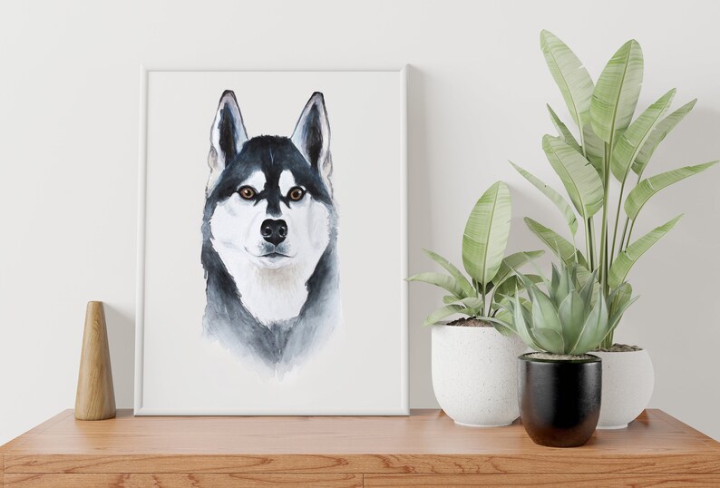 May include: Watercolor painting of a black and white husky dog's head. The dog has brown eyes and a white nose. The painting is on a white background.