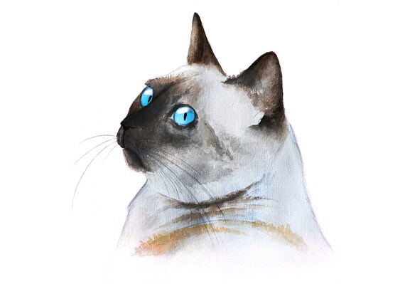 Chat Exotique A Poil Court Portrait Original Peinture De Chat Etsy