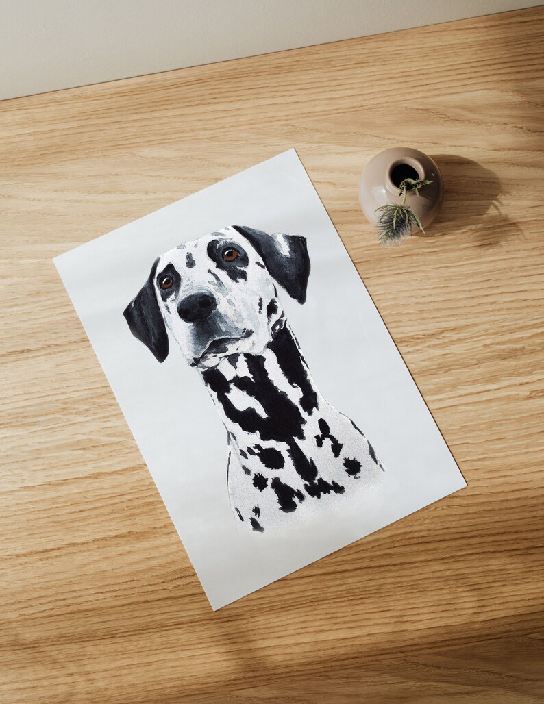May include: A black and white Dalmatian dog with brown eyes looking to the right. The dog is painted in a realistic style on a white background.
