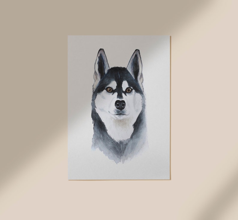 May include: Watercolor painting of a black and white husky dog with brown eyes. The dog is looking directly at the viewer.