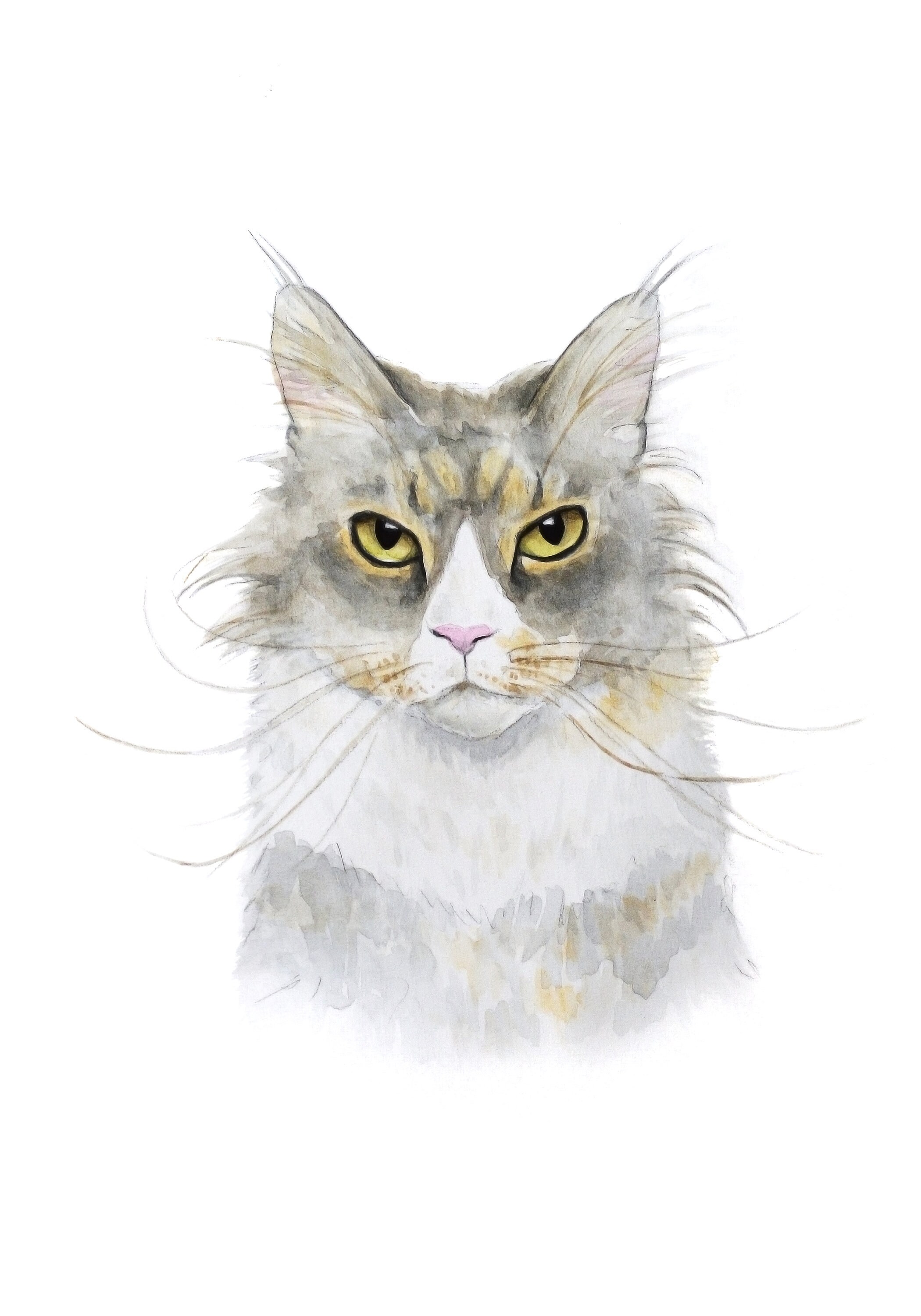 Grey Cat  portrait Custom Watercolor  Custom cat  painting  