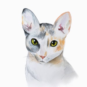 K&ouml;nnte beinhalten: Aquarellmalerei einer Katze mit gro&szlig;en Ohren und gr&uuml;nen Augen. Das Fell der Katze ist wei&szlig;, mit grauen, orangefarbenen und schwarzen Flecken. Die Katze blickt den Betrachter direkt an, mit einem sanften, freundlichen Ausdruck. Das Kunstwerk befindet sich auf wei&szlig;em Hintergrund.