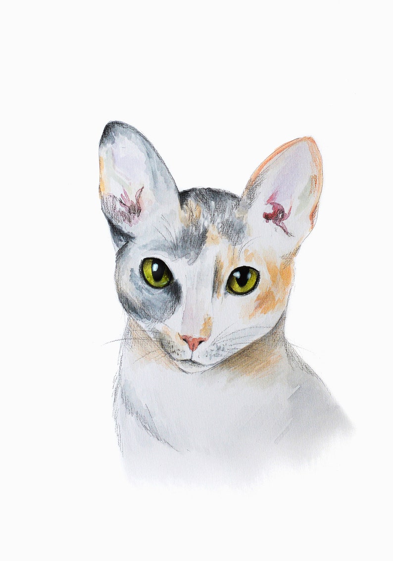 K&ouml;nnte beinhalten: Aquarellmalerei einer Katze mit gro&szlig;en Ohren und gr&uuml;nen Augen. Das Fell der Katze ist wei&szlig;, mit grauen, orangefarbenen und schwarzen Flecken. Die Katze blickt den Betrachter direkt an, mit einem sanften, freundlichen Ausdruck. Das Kunstwerk befindet sich auf wei&szlig;em Hintergrund.