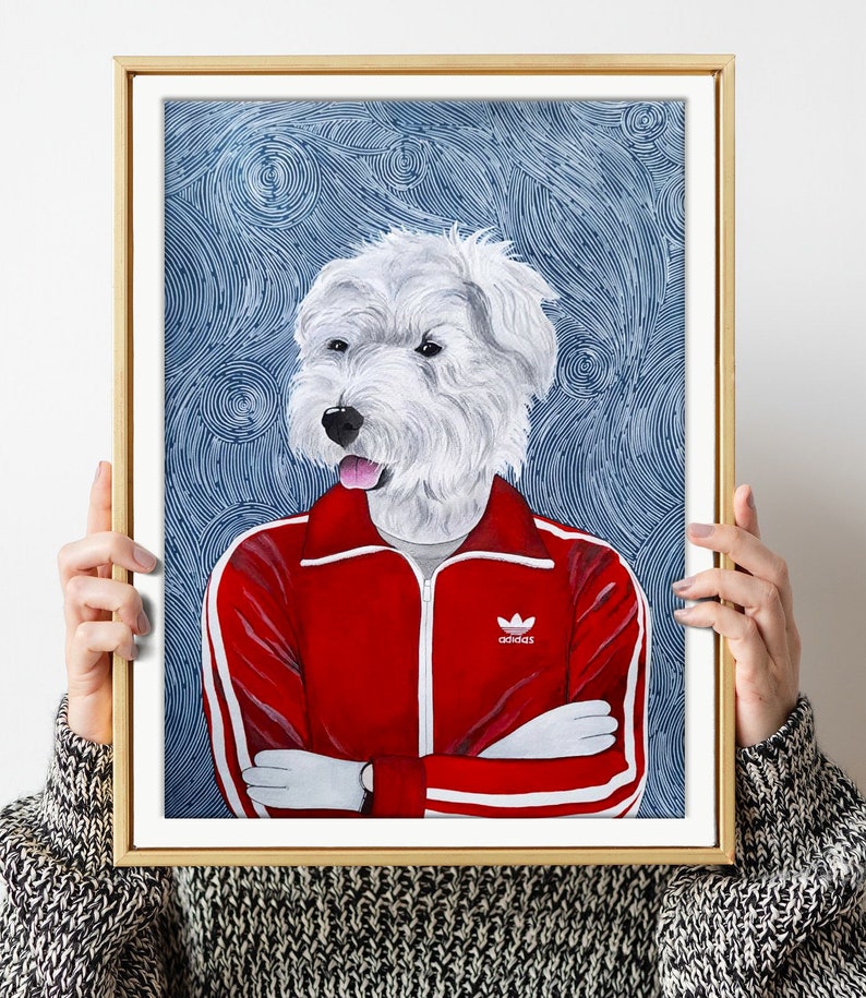 May include: A white dog wearing a red Adidas tracksuit with white stripes and the Adidas logo on the chest. The dog is standing against a blue background with white lines.