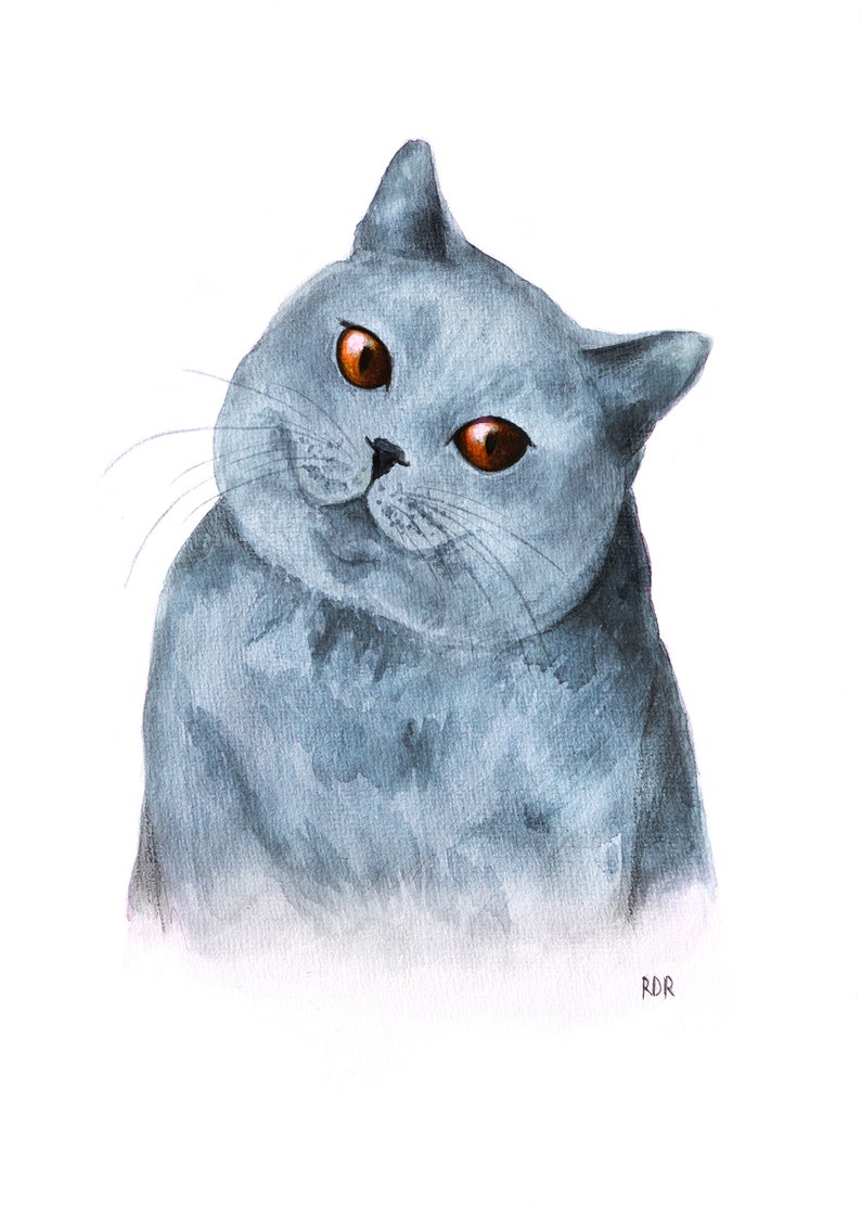 K&ouml;nnte beinhalten: Aquarellmalerei einer grauen Katze mit orangefarbenen Augen. Die Katze ist zur Seite geneigt, mit einem leichten L&auml;cheln. Das Kunstwerk ist unten rechts mit "RDR" signiert. Das Fell der Katze ist detailliert.