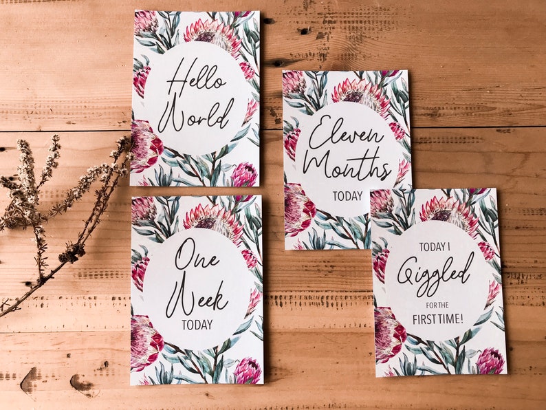 Native Milestone Cards 28 Pack