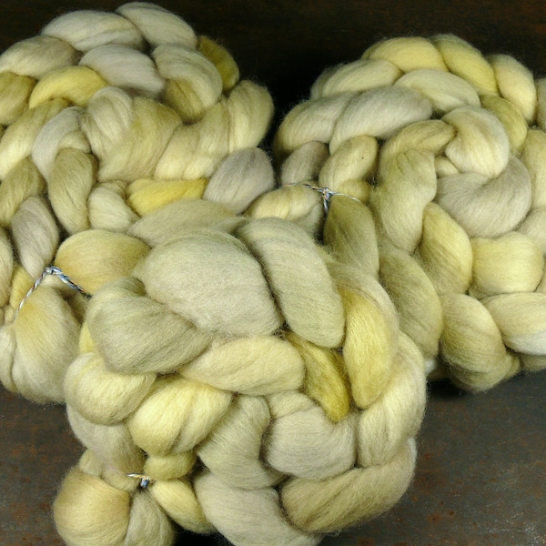 SALBEI - europäischer Bio Merino Kammzug ab 100gr, pflanzengefärbte Spinnfasern, (140 EUR/kg)