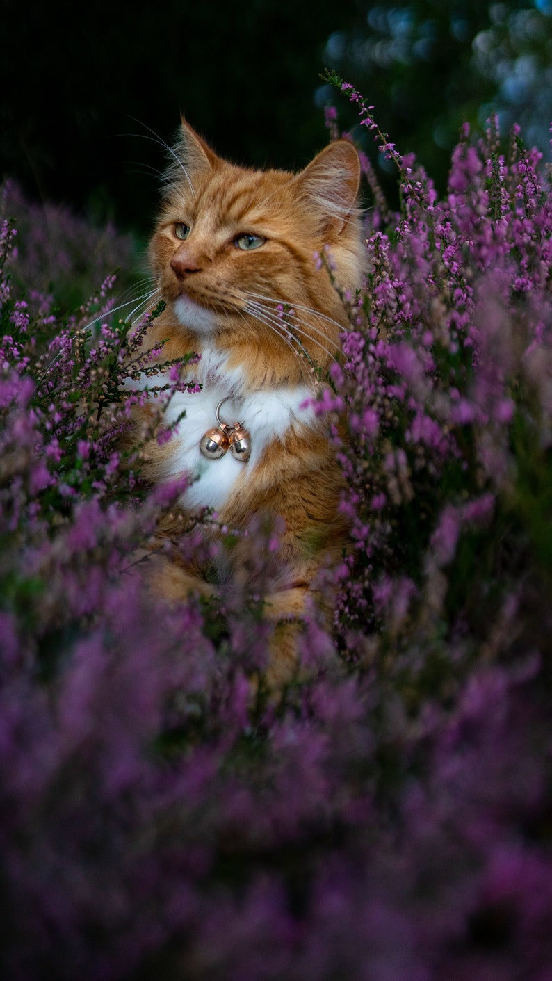 Cloches très puissantes pour chat et chien Traqueur d'animal de compagnie Sauvez les oiseaux et la faune, cuivre fait main image 3