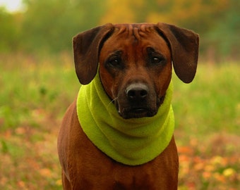 Loop für Hunde aus Fleece - lime/dunkelbraun-