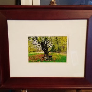 Biking Break under a tree framed print