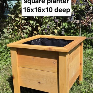 Square cedar wood planter, oil treated and lined, 16 long, 16 wide x 10.5 deep