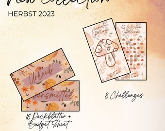 Budget Planer Starterpaket Anfänger Challenge Deckblatt Tracker Sheet A6 Umschlag