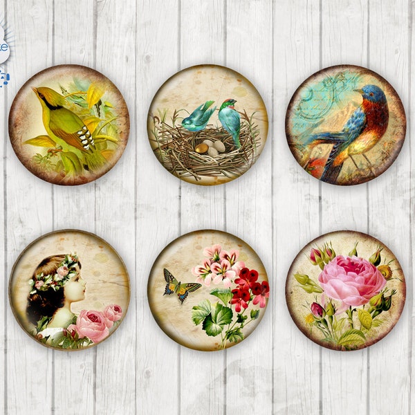 197 - shabby chic Bird Rose Motif Cabochon Glass Cabochons Handmade Photo Glass Cabs Round,Illustration Cabochon,Image Glass Cabochon