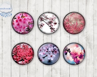 048 - Kirschblüte Sakura Blüten Motiv Cabochon Glass Cabochons Handmade Photo Glass Cabs Round,Illustration Cabochons,Image Glass Cabochon