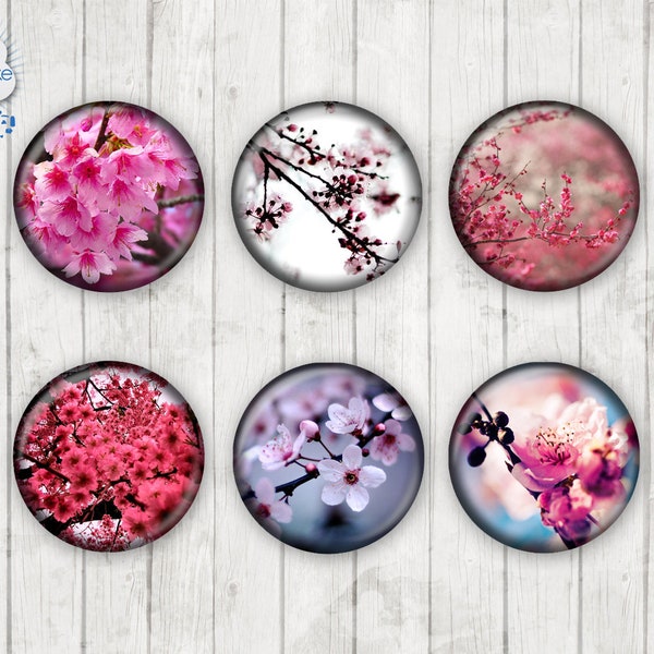 048 - Kirschblüte Sakura Blüten Motiv Cabochon Glass Cabochons Handmade Photo Glass Cabs Round,Illustration Cabochons,Image Glass Cabochon