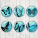 see more listings in the Cabochons - Fauna section