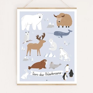 Lernposter Tiere des Polarkreises - Illustration für das Kinderzimmer - Geschenk für kleine und große Entdecker - Pinguin Eisbär Antarktis