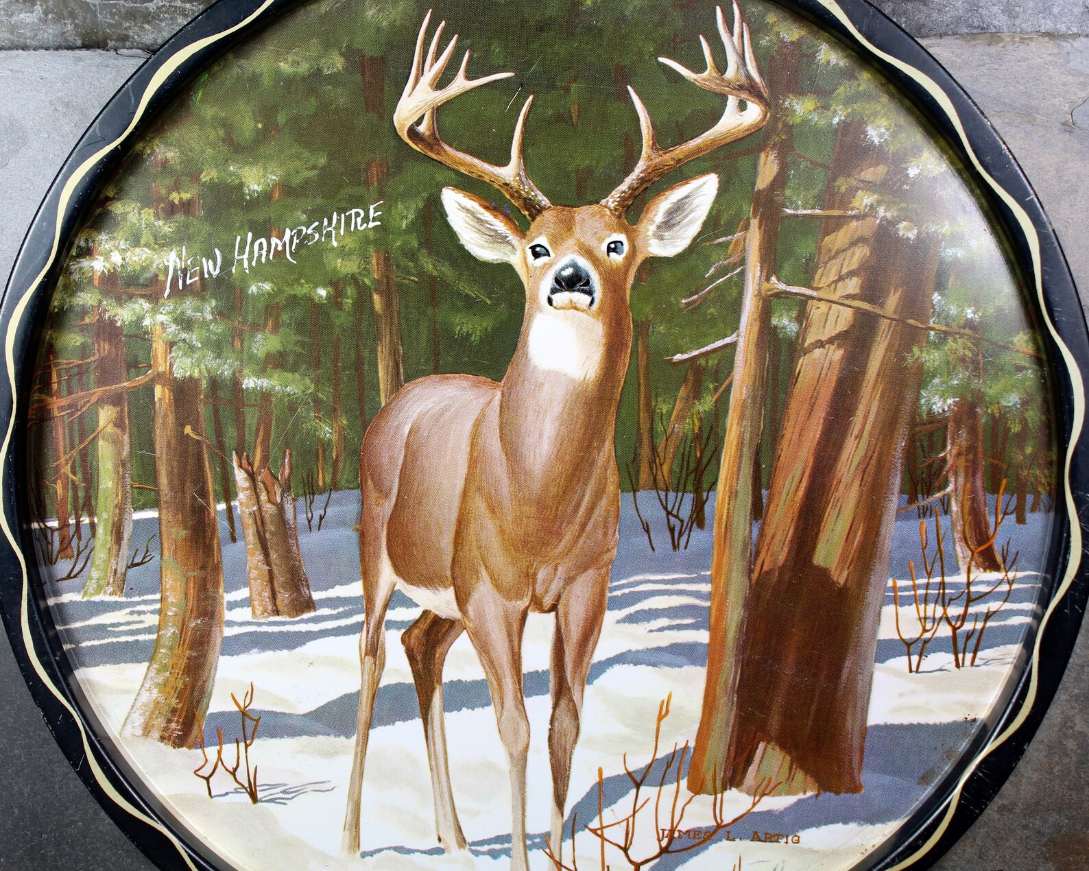 New Hampshire Souvenir Tin Tray New England Souvenir Etsy