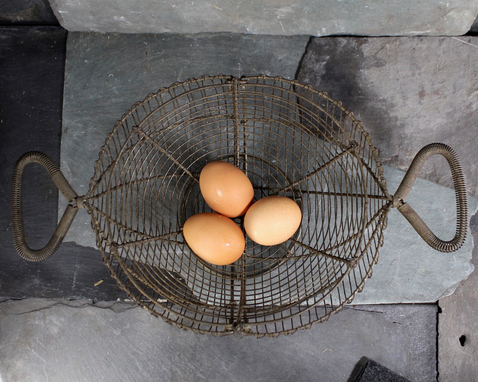 Egg Collecting Basket Vintage Patina Antique French Farm Etsy
