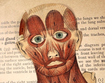 The Human Body by Owen Lancaster, M.R.C.S. | 1892 Antique Anatomy Book | Gorgeous Goth Science Diagrams | Bixley Shop