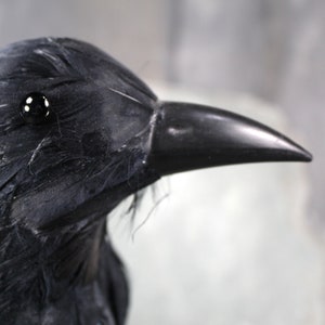 Vintage Halloween Crow | Halloween Decor | Black Raven | Black Crow | Vintage Halloween | Bixley Shop
