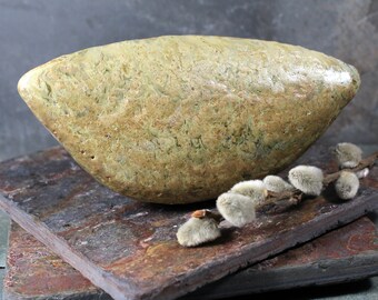 Scultura di baccelli di semi / Scultura artistica / Baccello di semi grigio/verde smaltato a mano / Arte della natura / Arte dell'orticoltura / Negozio Bixley