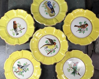 Italian Majolica Bird Salad Plate | Five Different Designs | 8&quot; Diameter | Italian Ceramic | Bird Lover Gift | Bixley Shop