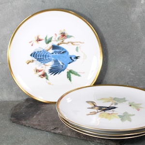 Hutschenreuther Selb Audubon Plates | Vintage Audubon Decorative 8&quot; Plates | Bixley Shop